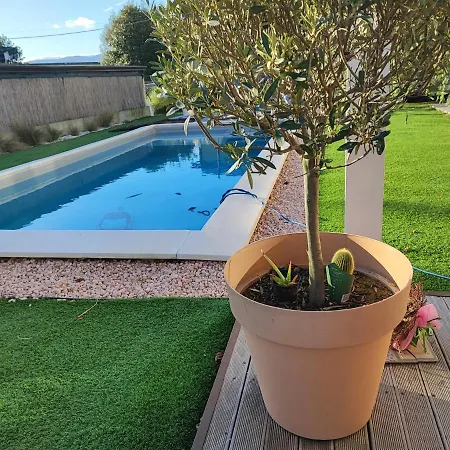 Theoma Castelnuovo Magra